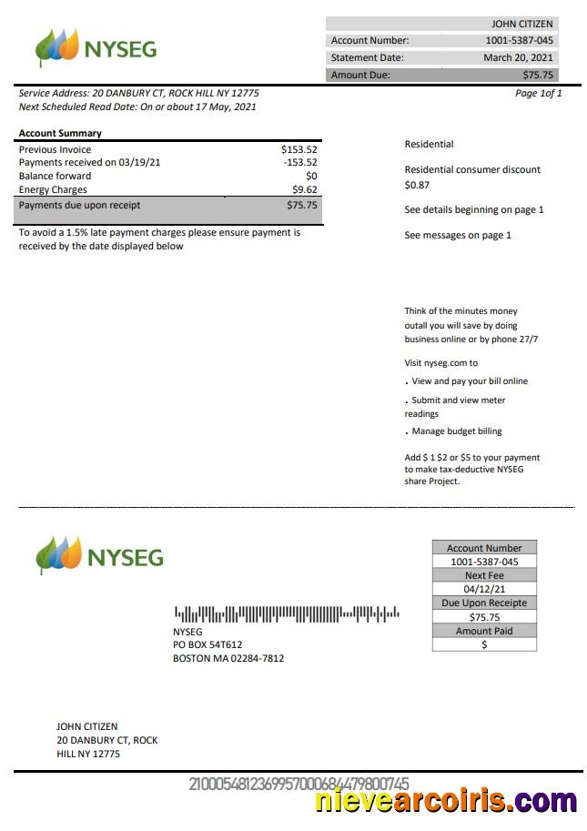 USA Massachusetts Boston NYSEG electricity utility bill
